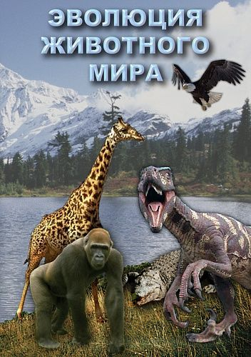 Эволюция животного мира. Фильм на DVD