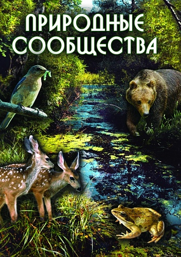 DVD Природные сообщества